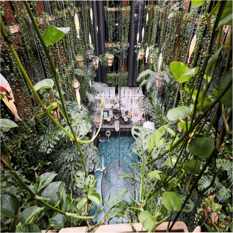 Manon Les Suites Hotel indoor jungle courtyard pool viewed from above, framed by lush hanging vines and tropical plants, with turquoise mosaic water and a serene urban oasis feel.